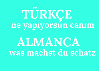 tumblr kızı ne demek mine mutlu sikiş